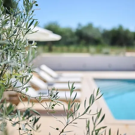 Willa Pura Vida With Pool And Whirlpool Near Umag